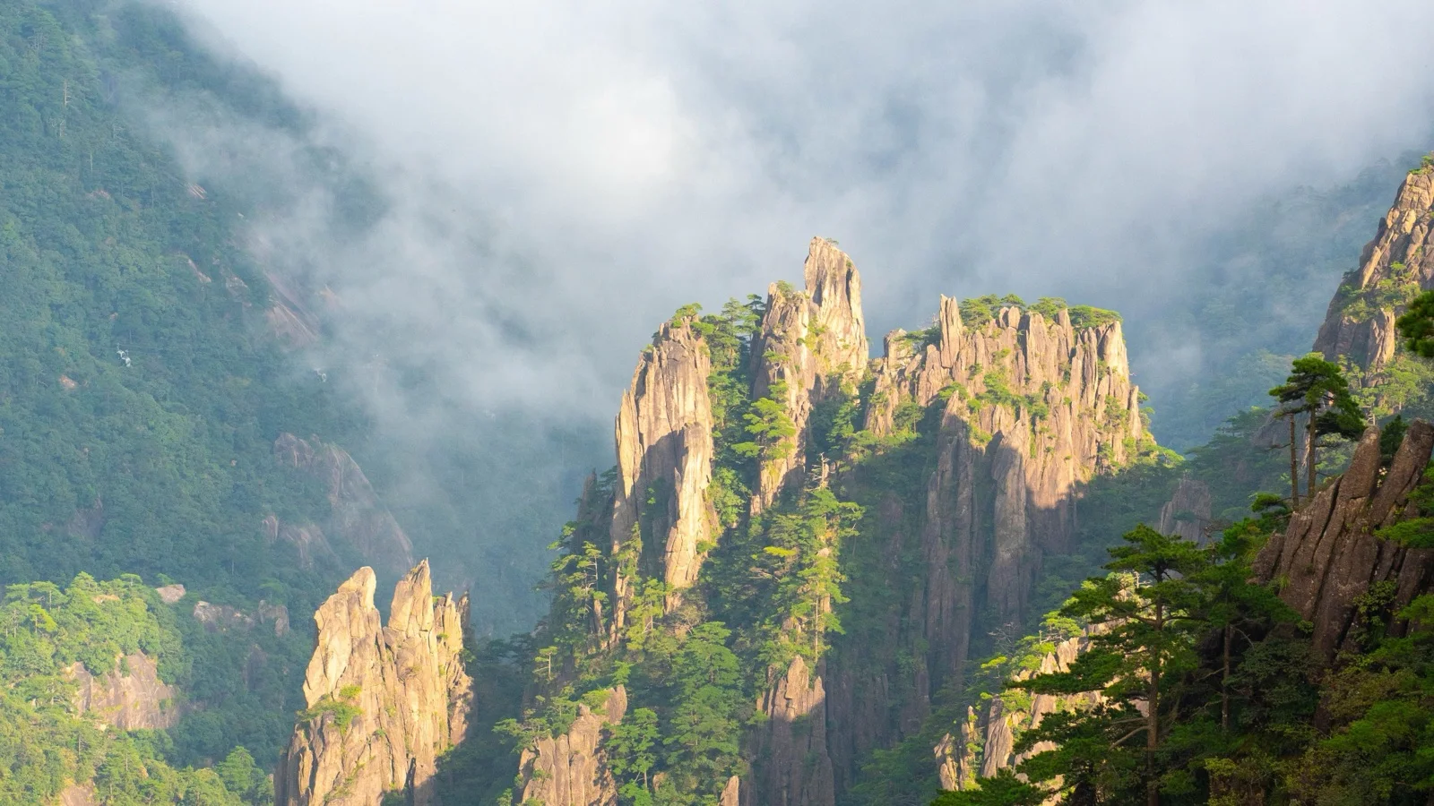Granite peaks and twisted pines above a sea of clouds at sunrise in the Huangshan Yellow Mountains