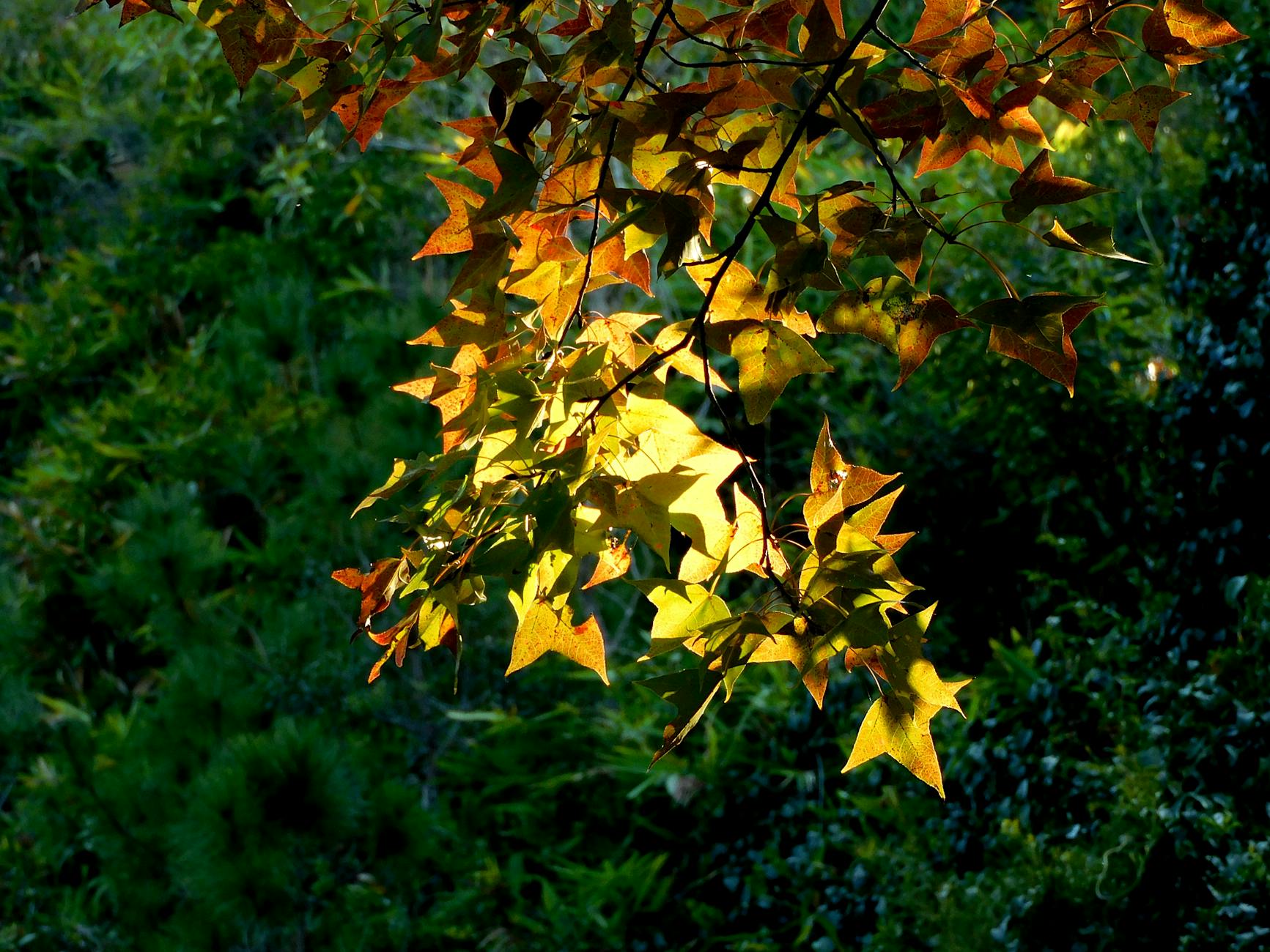Fusaki Beach in Ishigaki