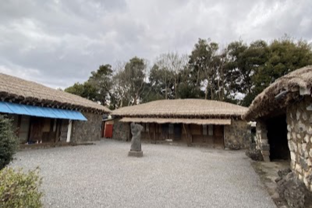 Seongeup Folk Village thatched-roof stone houses beneath ancient zelkova trees in Jeju