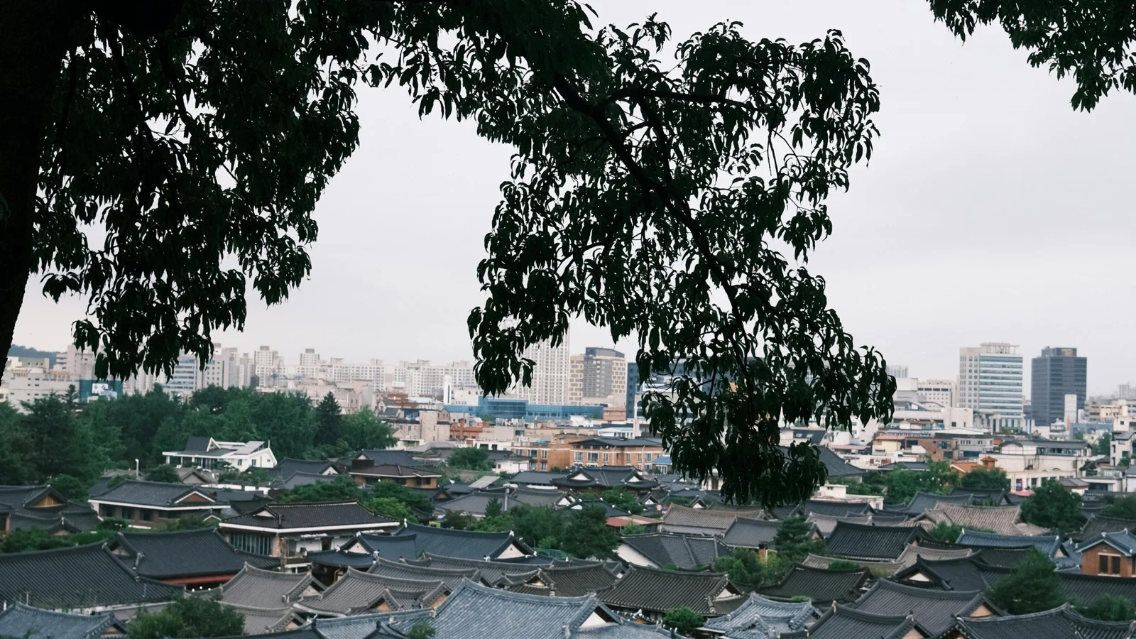 Jeonju Hanok Village curved tile rooftops with forested hills beyond in soft morning light