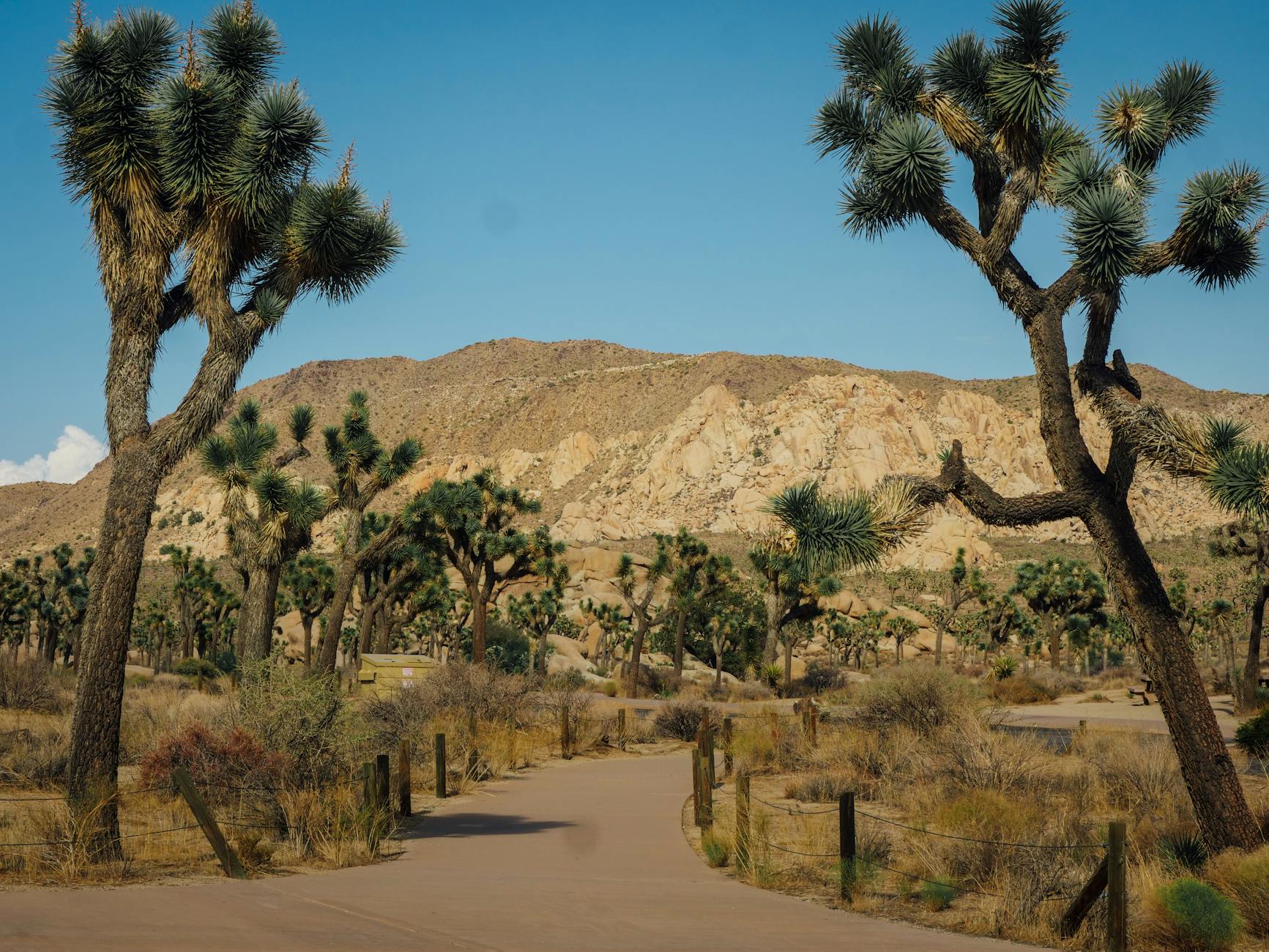 Keys View in Joshua Tree National Park