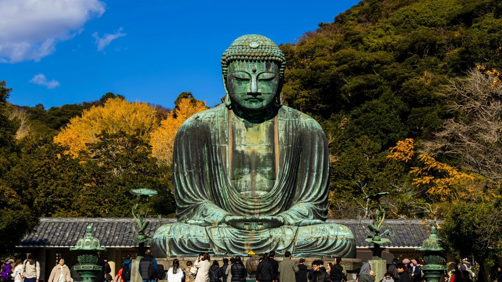 The Great Buddha bronze statue at Kotokuin Temple surrounded by forested grounds in Kamakura
