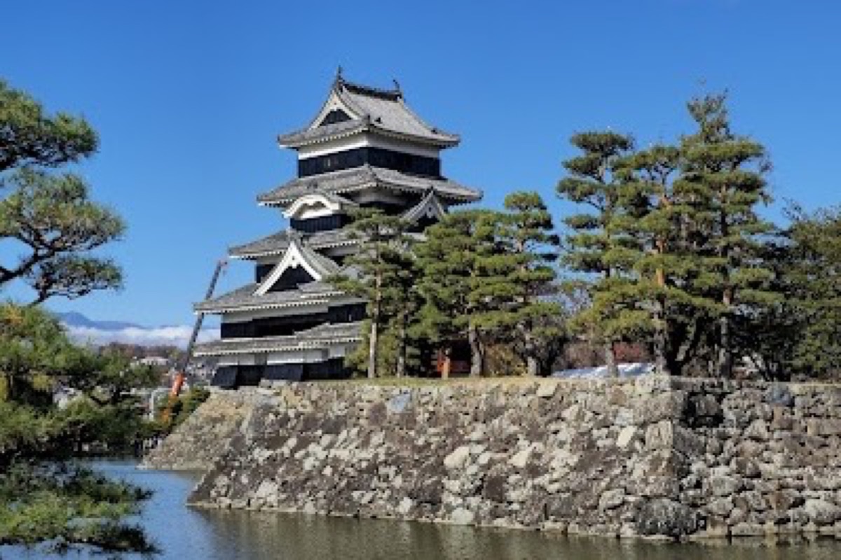 Matsumoto Castle black-and-white keep reflected in the castle moat with cherry trees