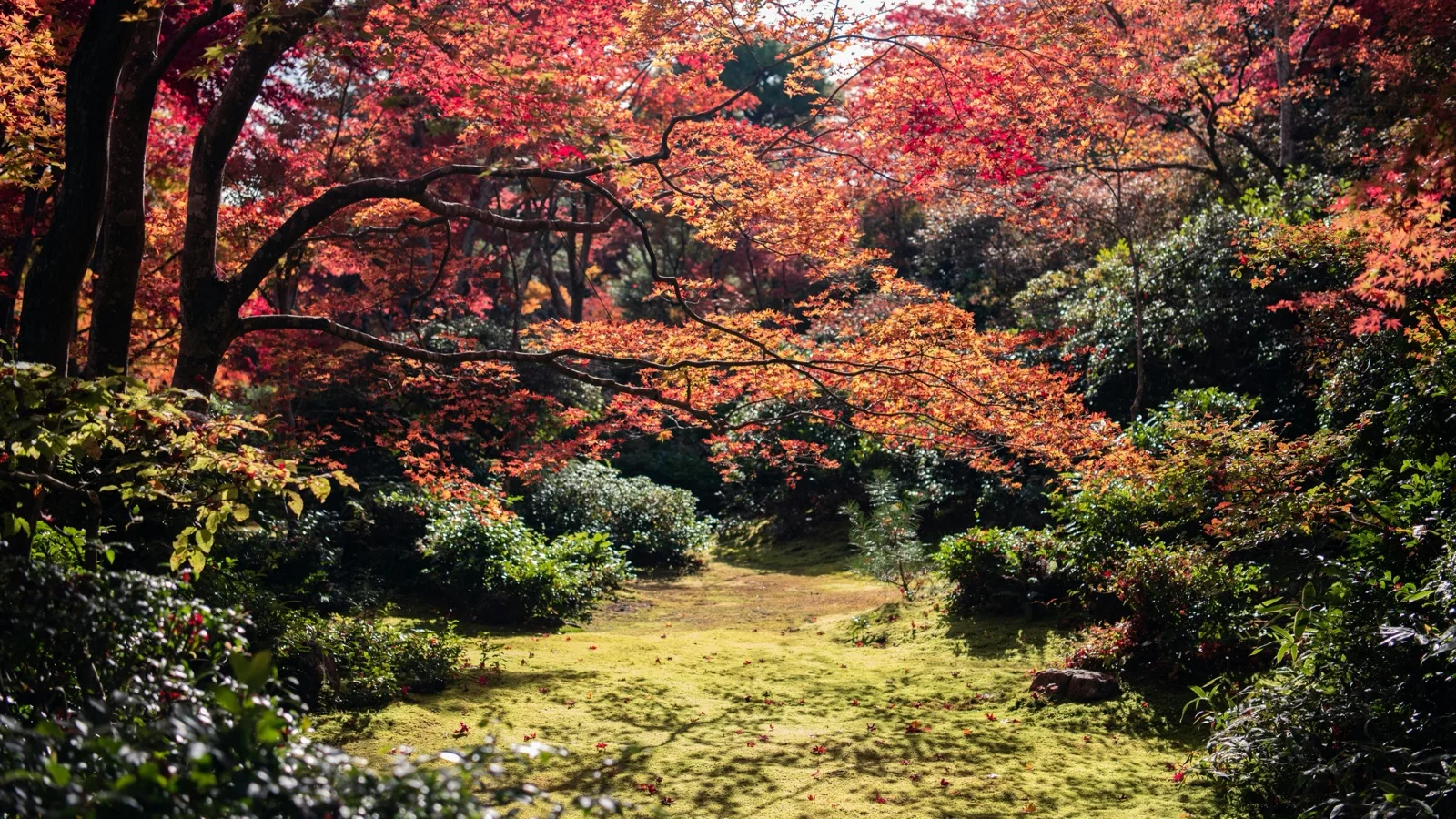 Kotoji-toro lantern reflected in Kasumigaike Pond at Kenrokuen Garden with autumn maples