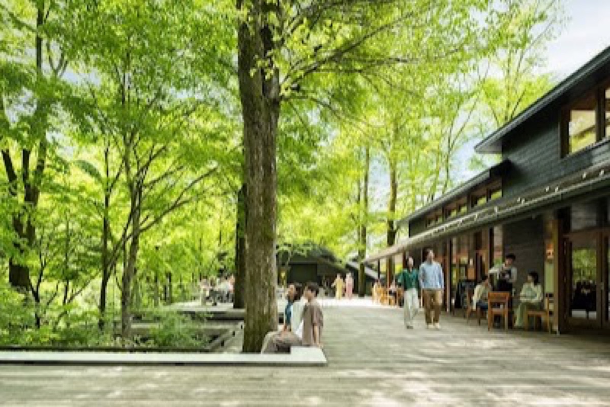 Harunire Terrace timber buildings along a forest stream with elm canopy in Karuizawa