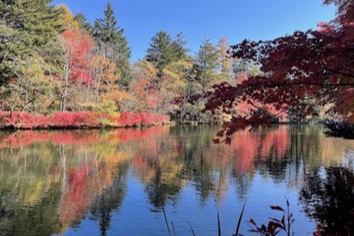 Kumoba Pond reflecting autumn foliage across still waters in Karuizawa