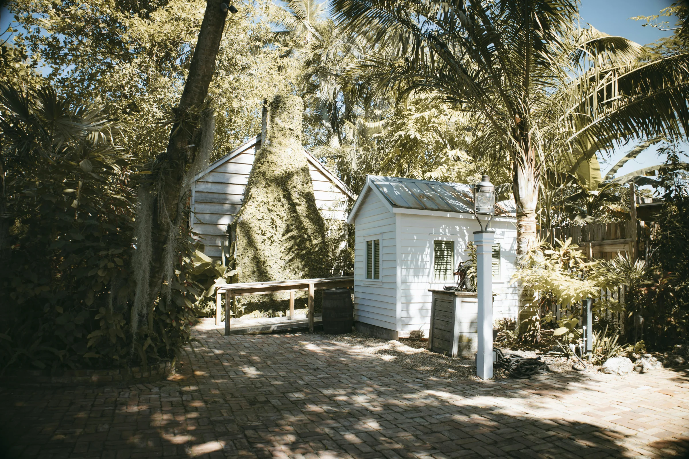 Sunset view of Key West beachfront with pastel homes and palm trees in Florida.
