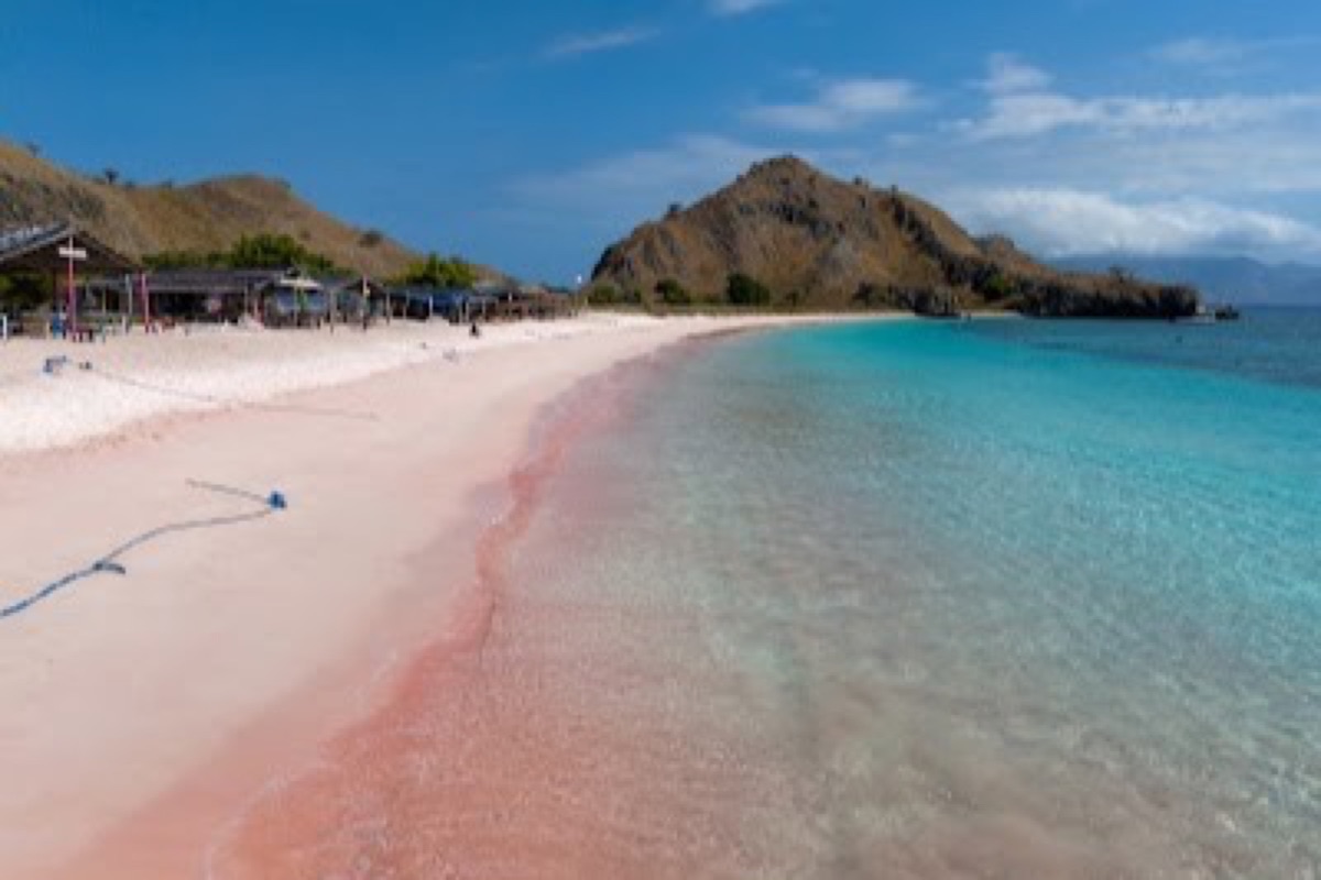 Pink Beach in Komodo