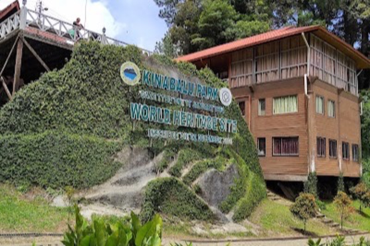 Mossy montane forest and botanical gardens at Kinabalu Park below Mount Kinabalu in Sabah