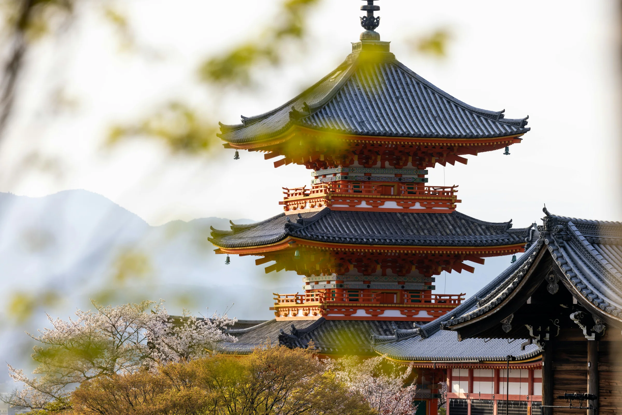 Temple-lined street on Mount Koya in Japan with soft mist and traditional architecture.