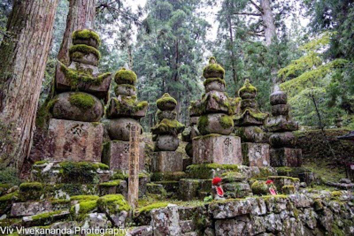Stone lanterns and moss-covered tombstones along the cedar-lined path through Okunoin Cemetery in Koyasan