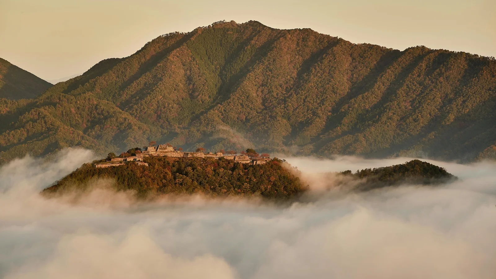 Kumamoto Castle towers above cherry blossom trees in spring
