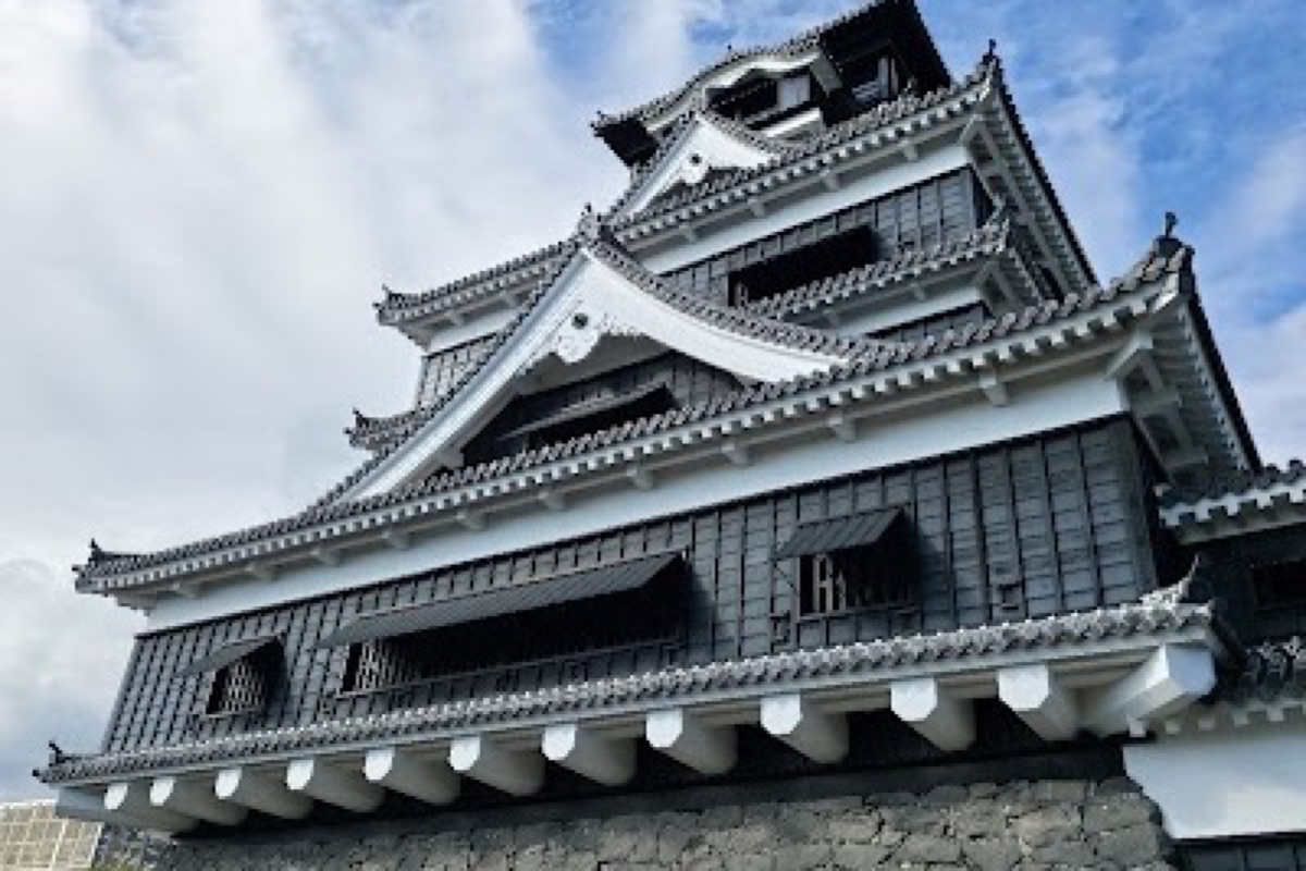 Kumamoto Castle towers and cherry blossoms in spring