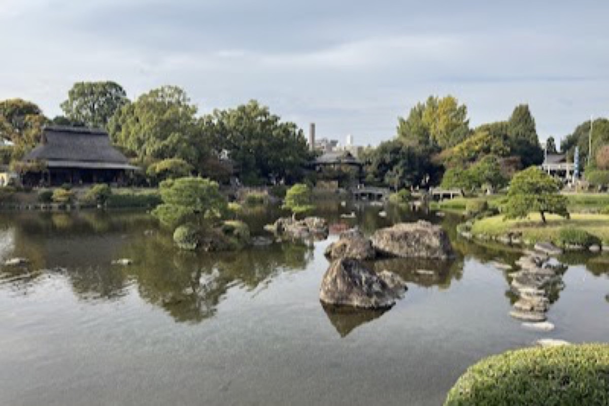 Suizenji Jojuen Garden pond and cherry blossoms