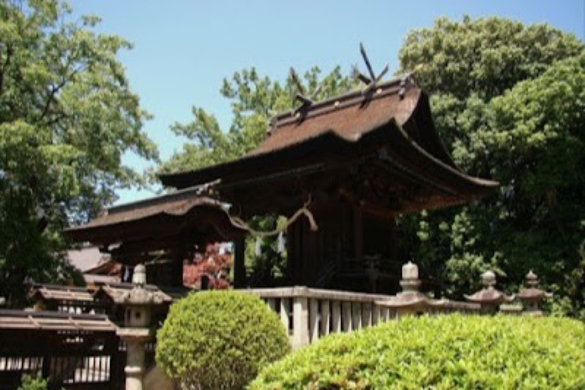 Achi Shrine hilltop overlook above Kurashiki Bikan Quarter with ancient wisteria in bloom