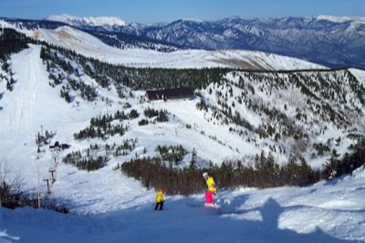 Pulse Gondola Tengu ascending above tree line with panoramic mountain views at Kusatsu Ski Resort