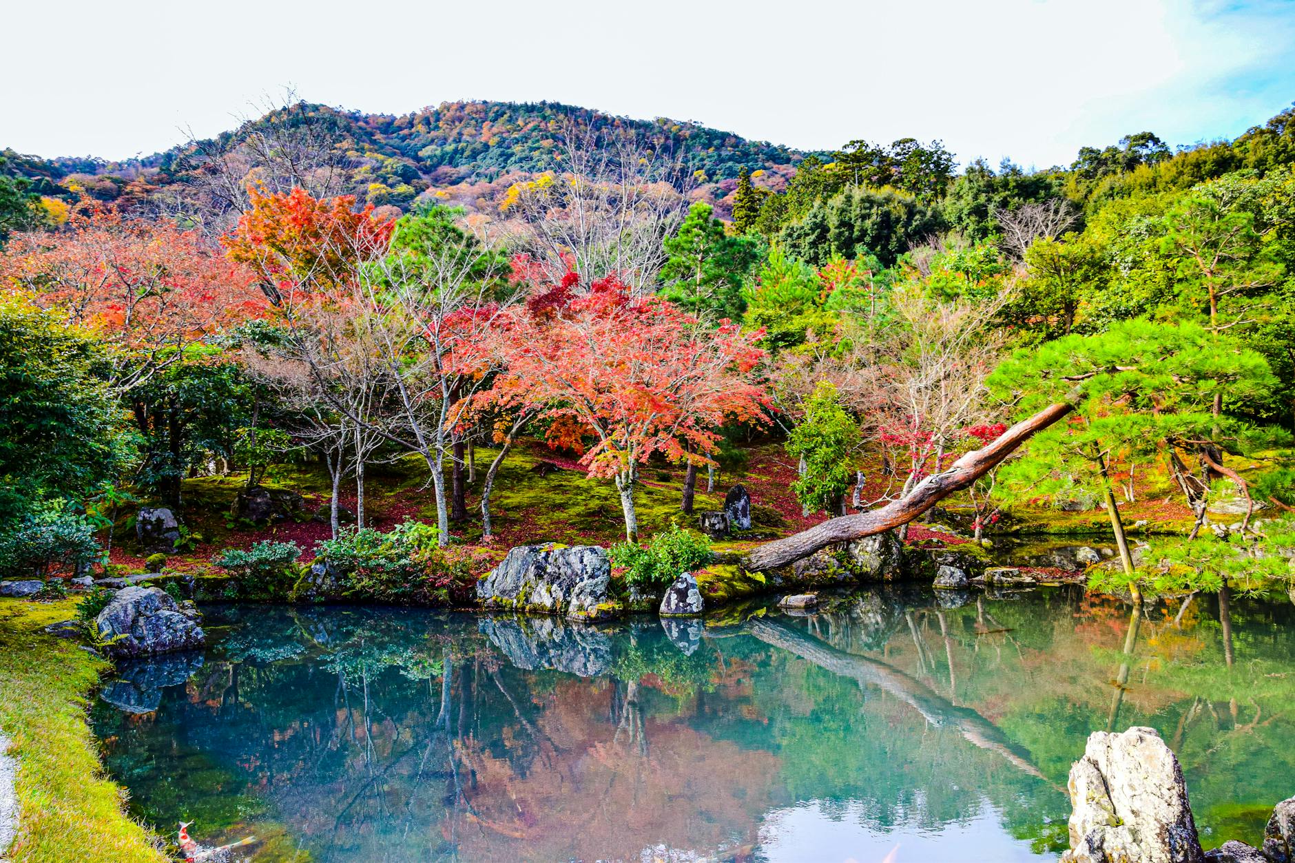 Tenryu-ji in Kyoto