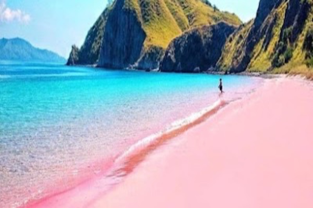 Pink Beach in Lombok