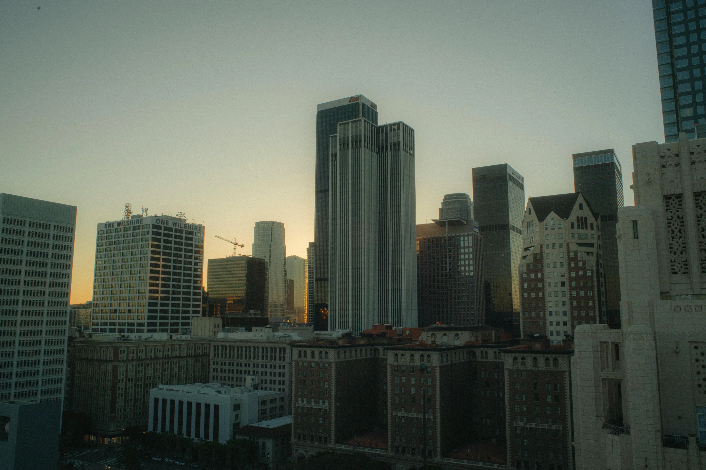 Los Angeles downtown skyline at sunset with palm trees