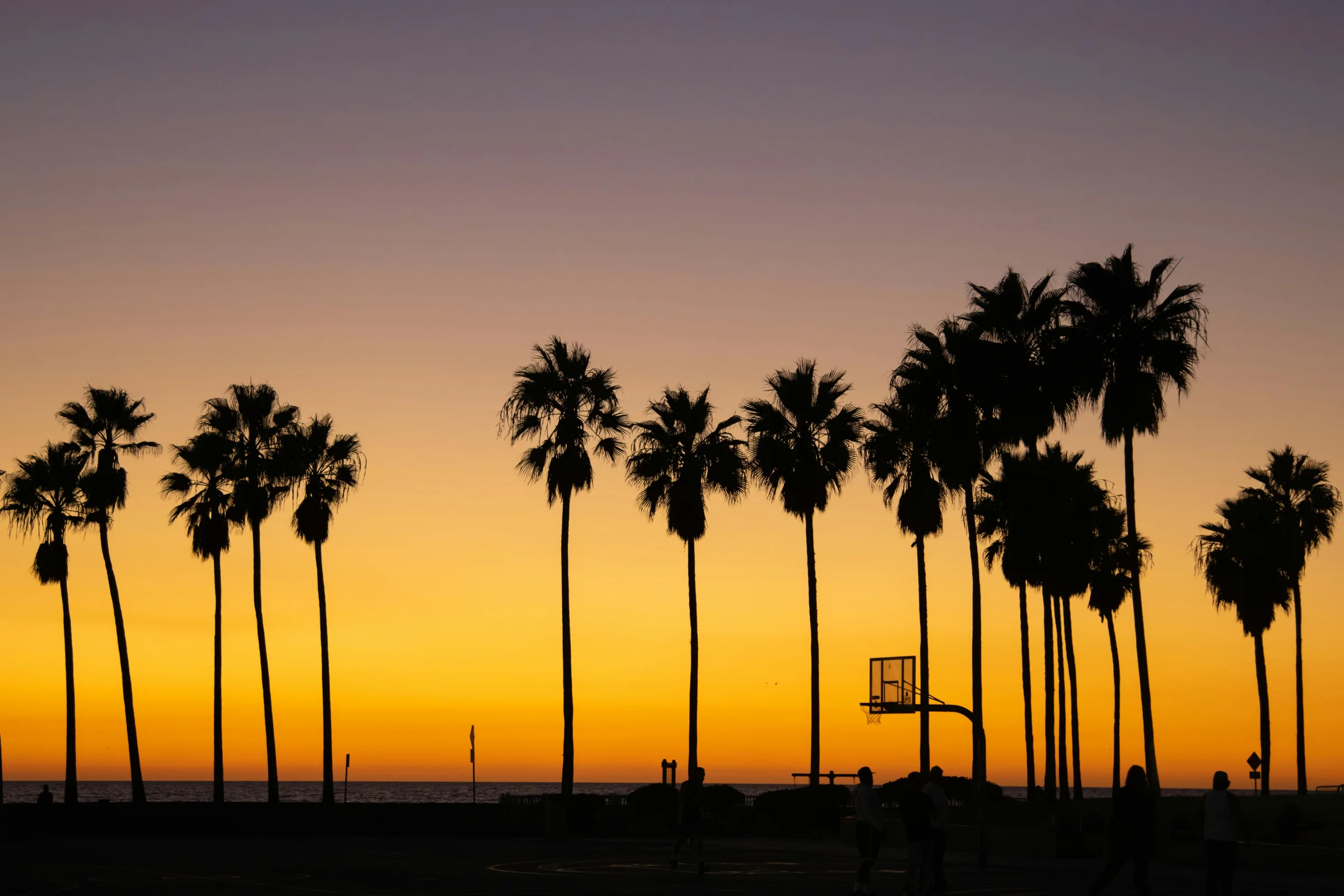 Los Angeles skyline at golden hour with palm trees in the foreground