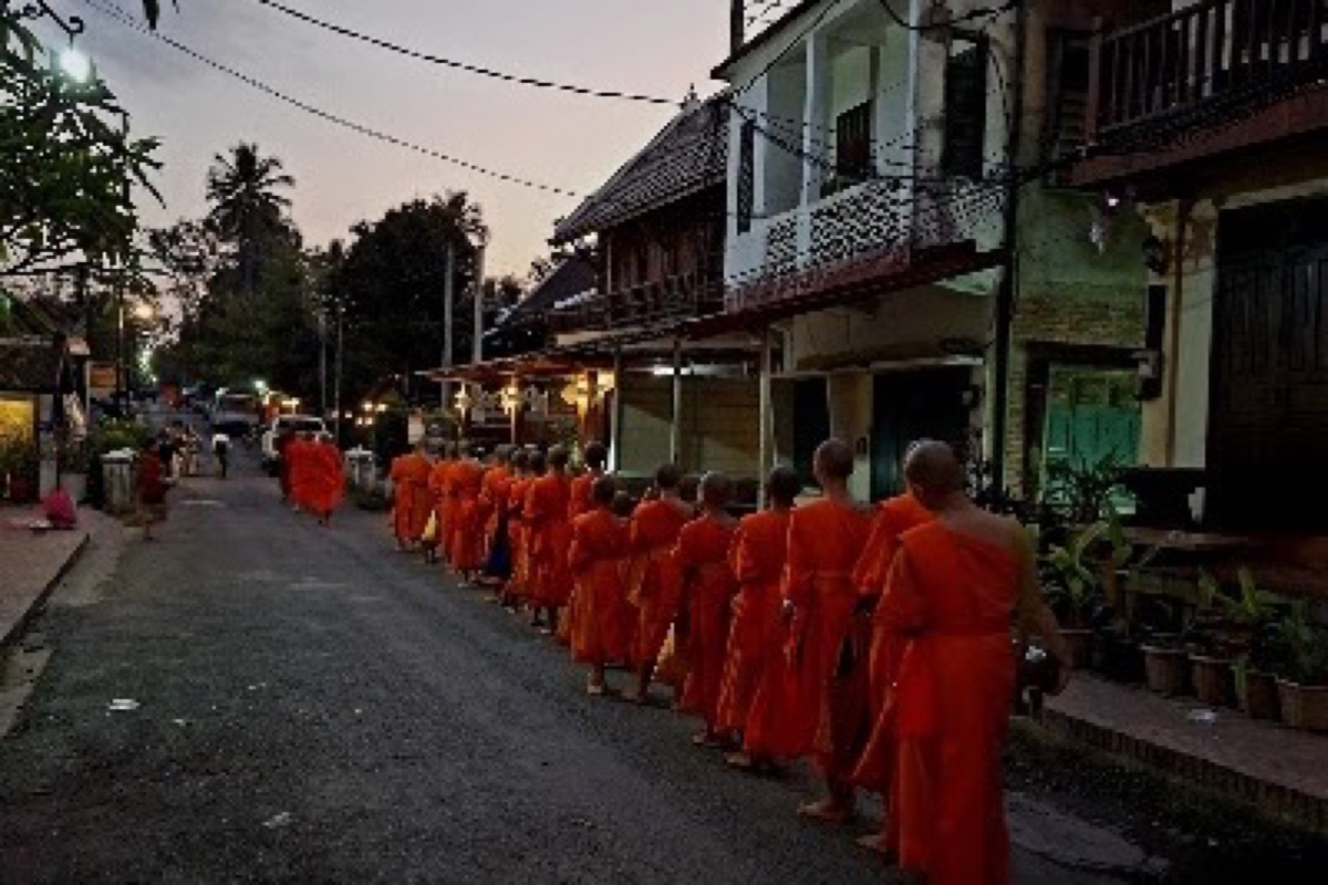 Saffron-robed monks walking in lines during the Tak Bat alms ceremony at dawn in Luang Prabang