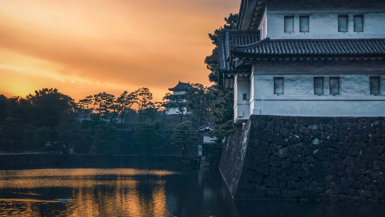 Matsue Castle keep reflected in moated grounds with cherry blossoms in spring