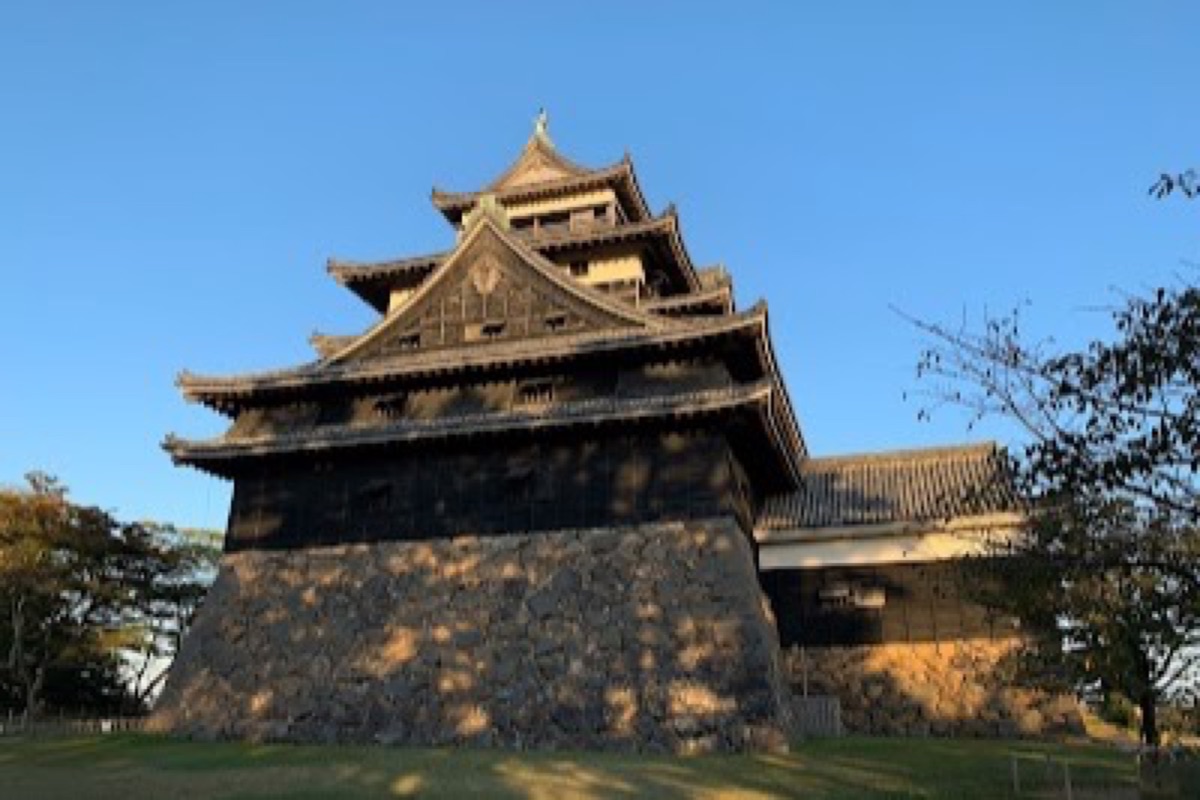Matsue Castle keep rising above moated grounds with cherry blossoms in spring