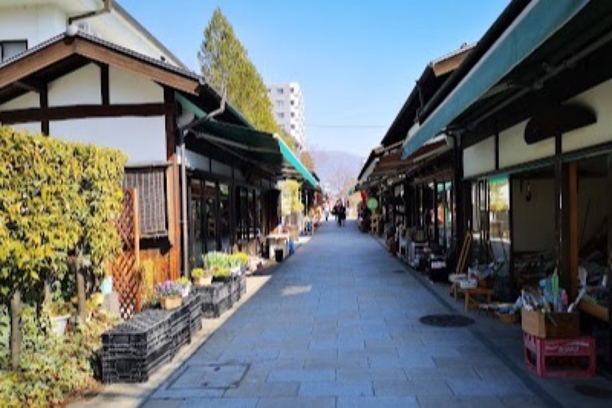 Nawate Dori shopping alley with food stalls and antique shops near Matsumoto Castle
