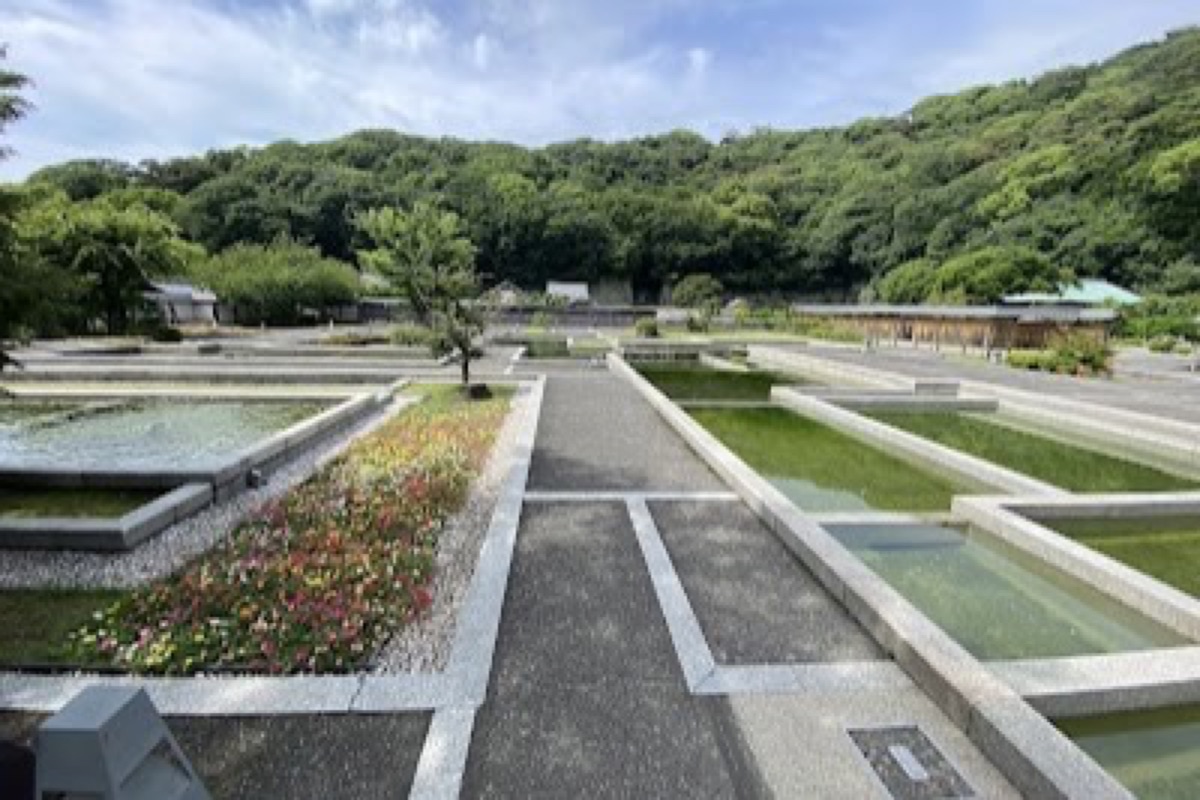 Ninomaru Historical Garden with ponds and spring blossoms below Matsuyama Castle
