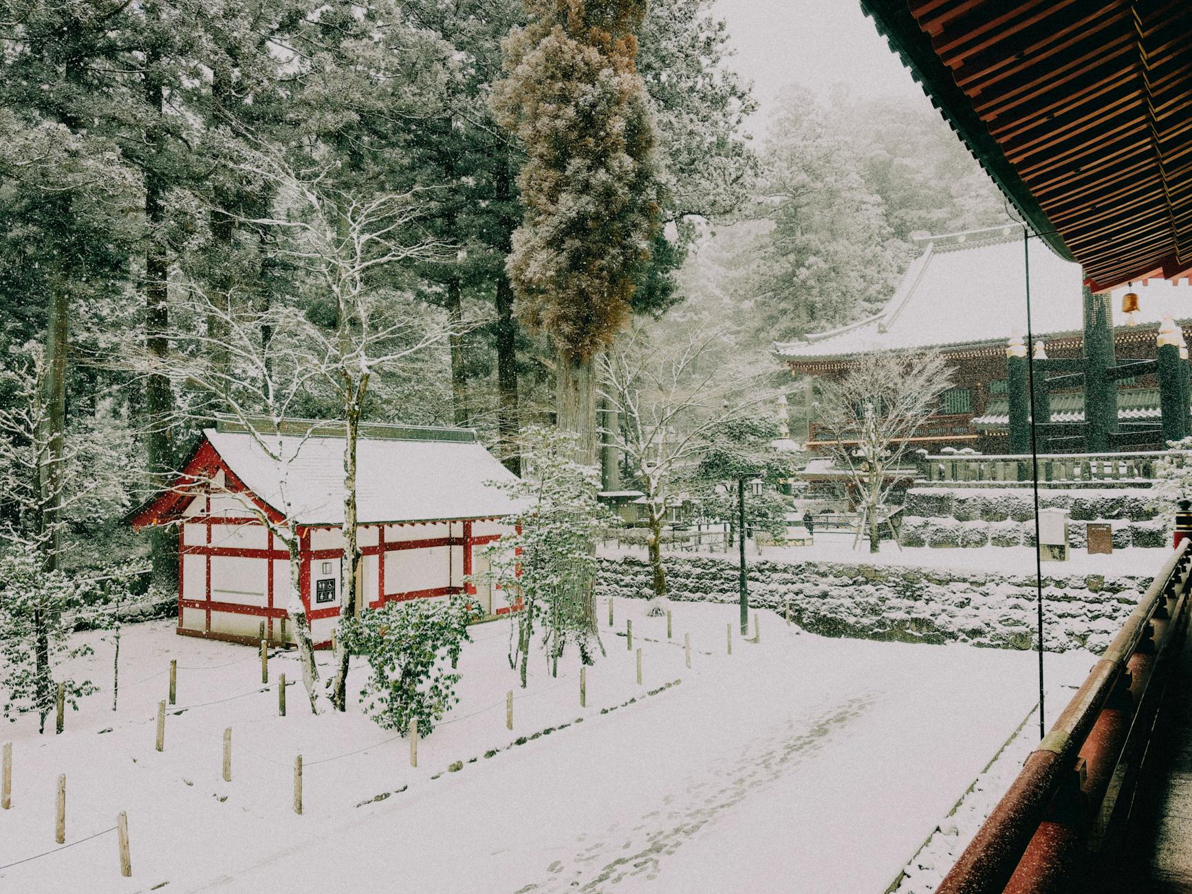 Isaniwa Shrine in Matsuyama