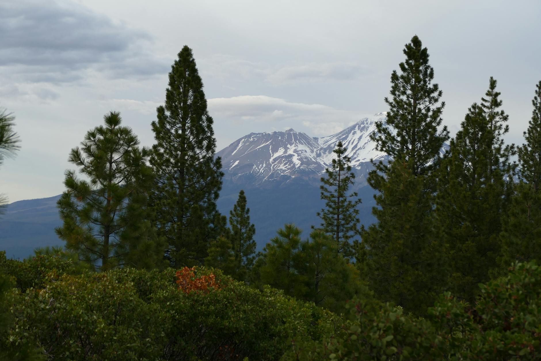 Bunny Flat Trailhead in Mount Shasta