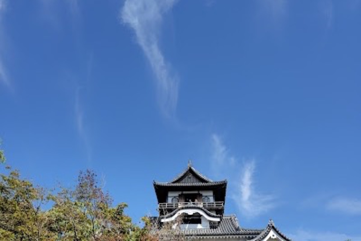 Inuyama Castle keep overlooking the Kiso River with autumn foliage below