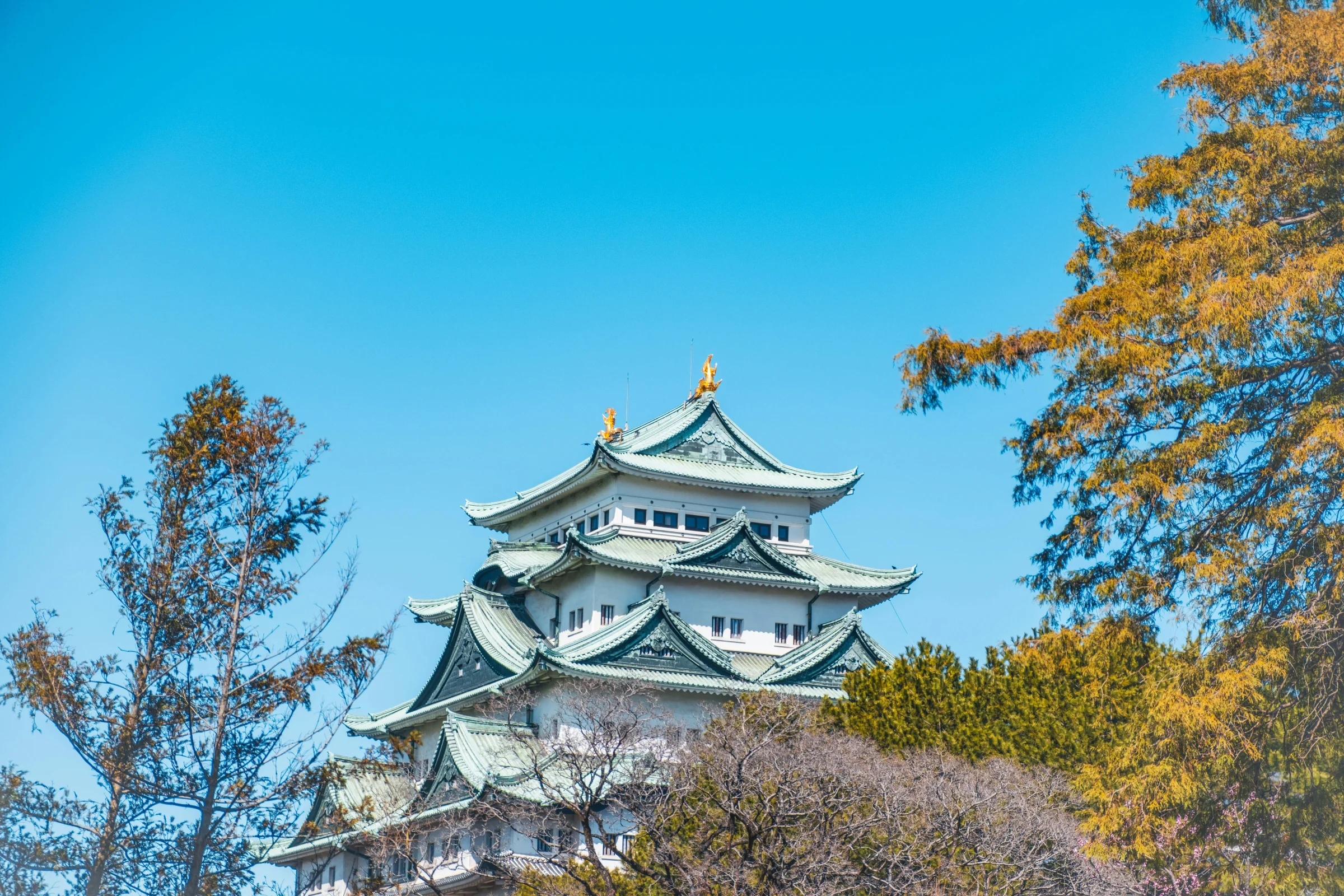 Dusk view of Nagoya skyline featuring Nagoya Castle in Japan