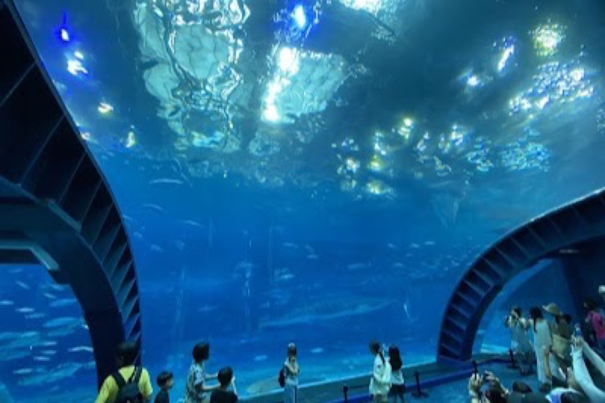 Okinawa Churaumi Aquarium in Motobu