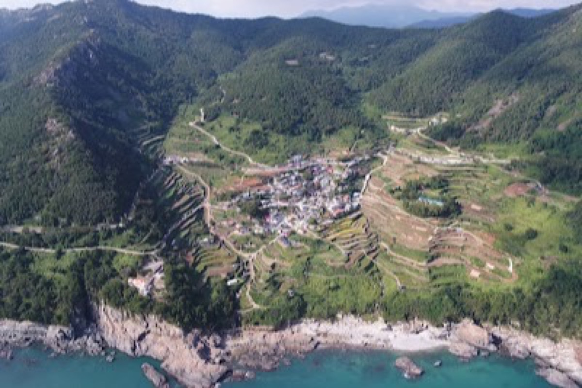 Daraeng-i Village emerald terraced rice paddies cascading toward the southern sea in summer