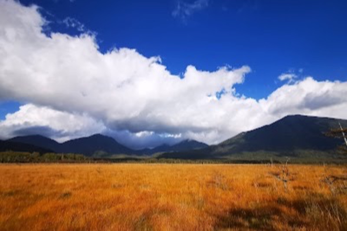 Senjogahara Marshland golden boardwalk trail in Oku-Nikko