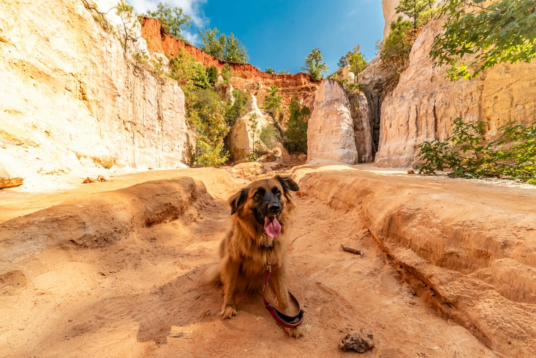 The Big Cave at Palo Duro Canyon State Park in Palo Duro Canyon State Park
