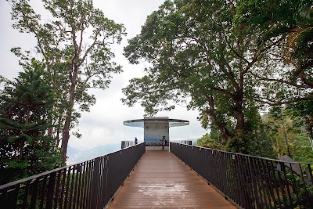Penang Hill funicular ascending the hillside with island and strait views below