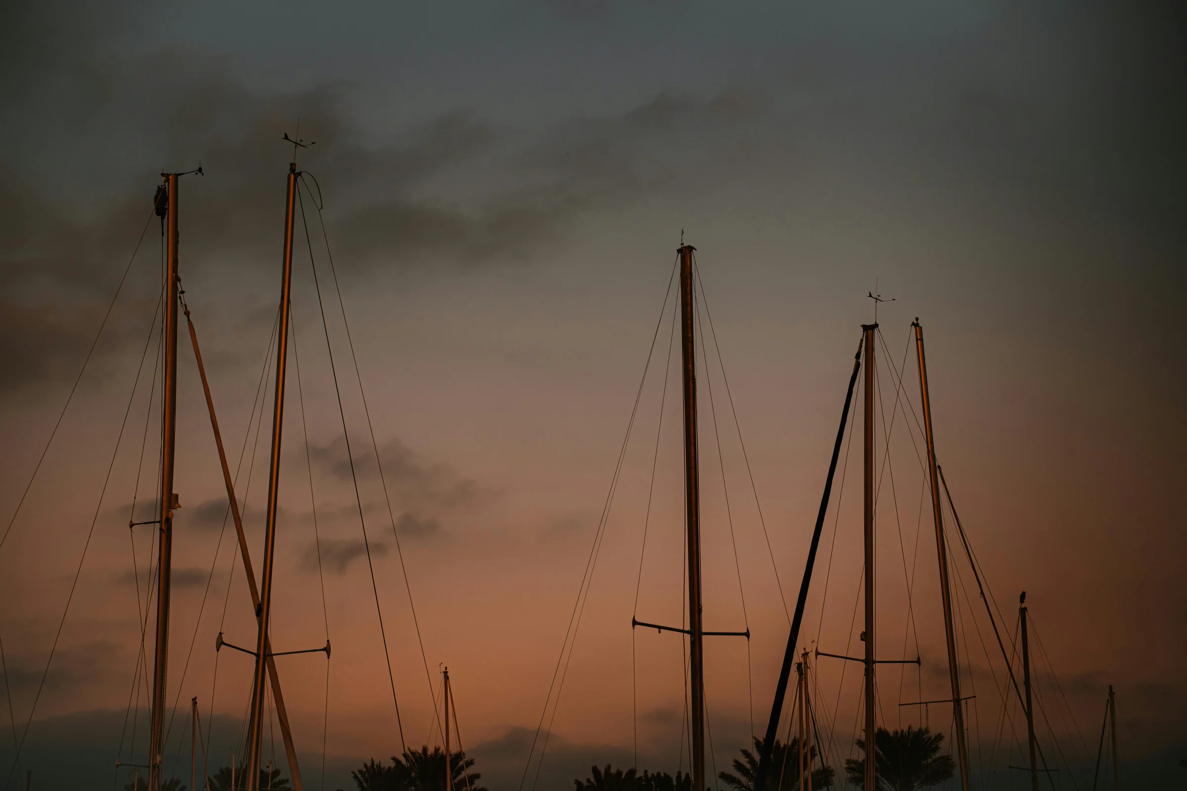 Downtown Pensacola waterfront skyline at sunset in Florida