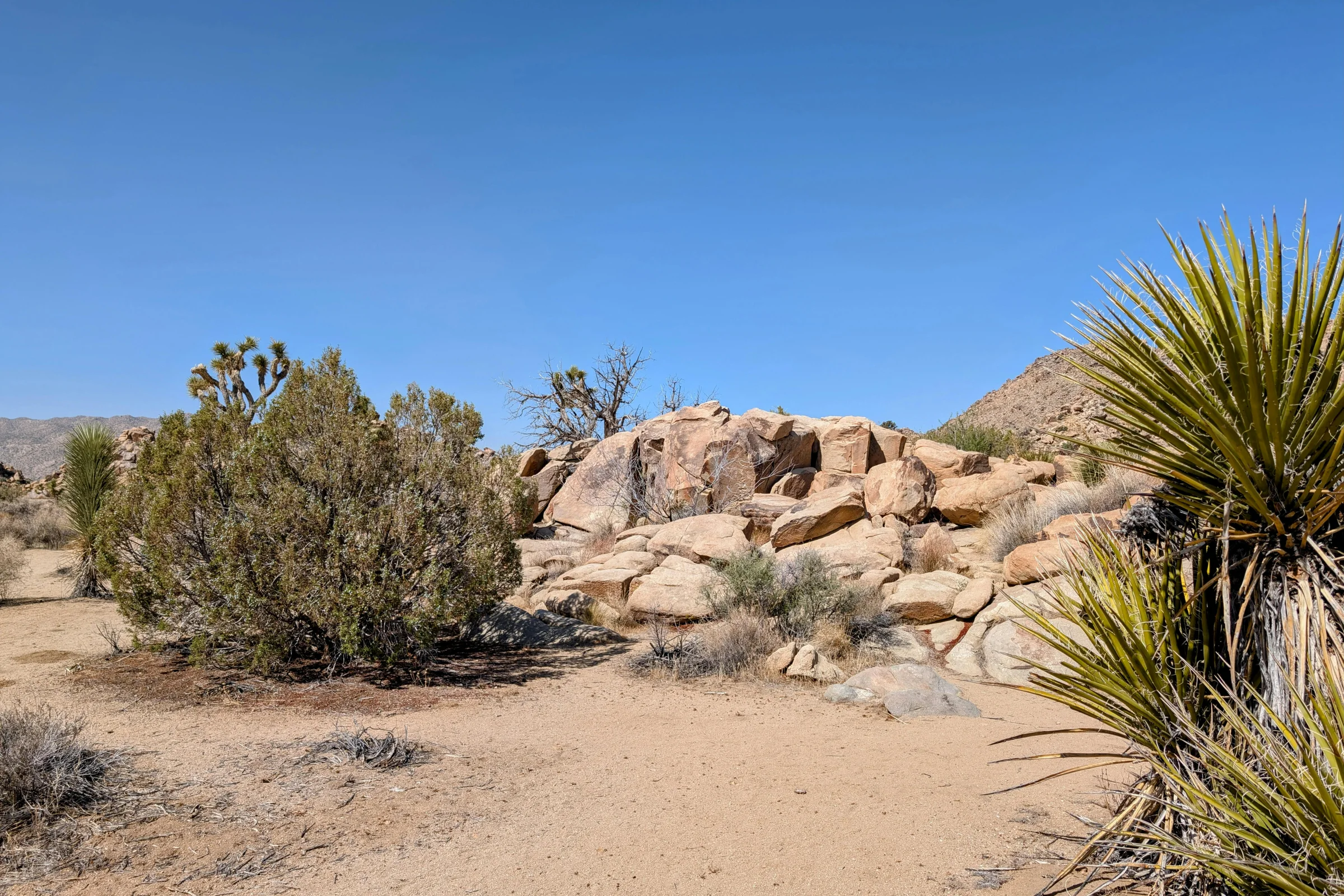 Hero photo of Pinnacles National Park with dramatic rock spires and a scenic hiking trail in California.