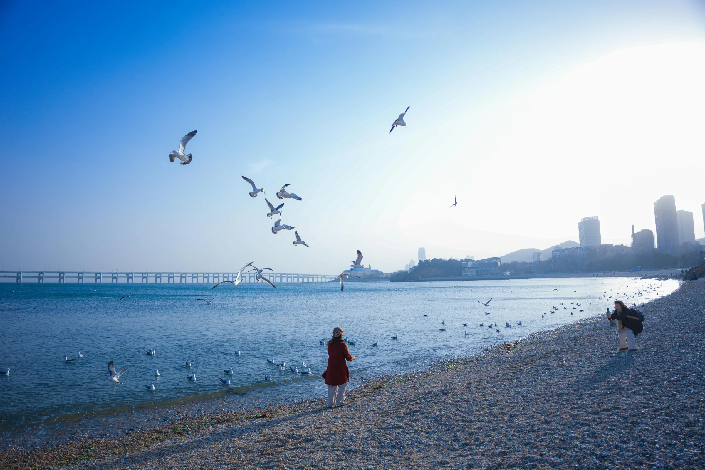 Sunset cityscape of Qingdao with coastal skyline and ocean, China