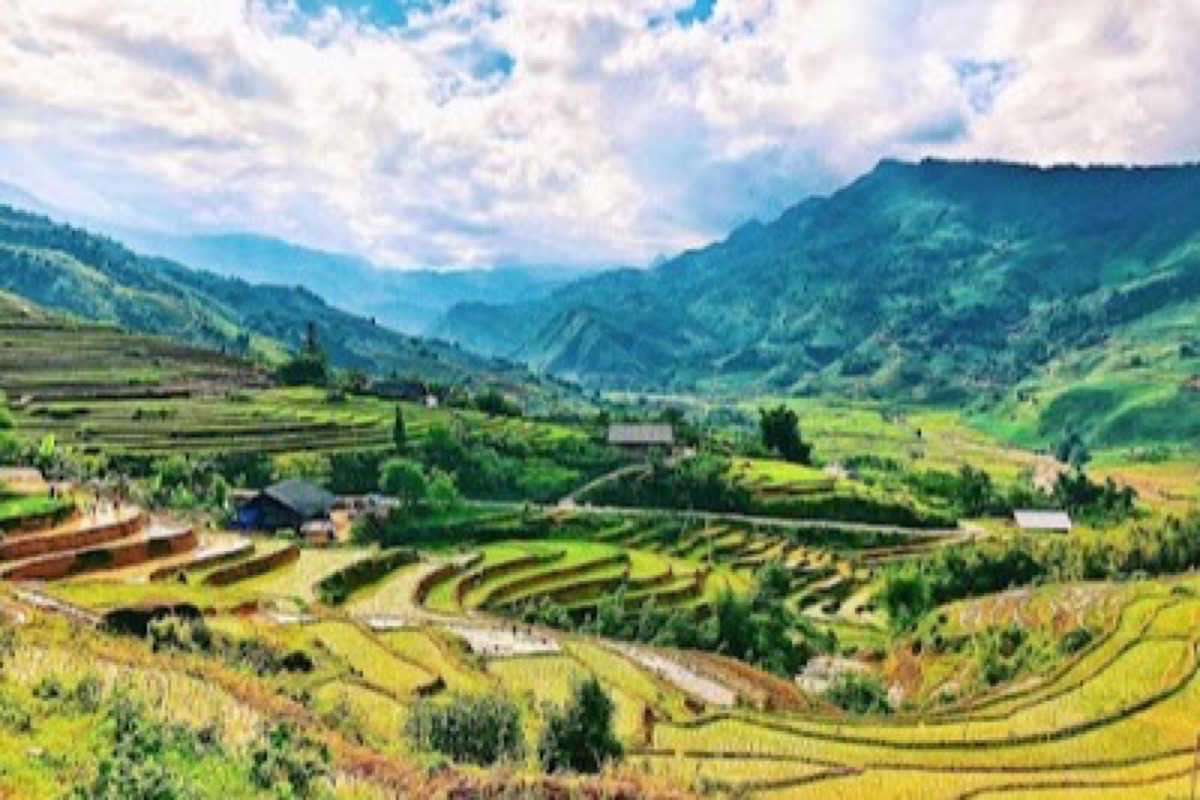 Layered golden rice terraces of Muong Hoa Valley glowing in low afternoon sun near Sapa