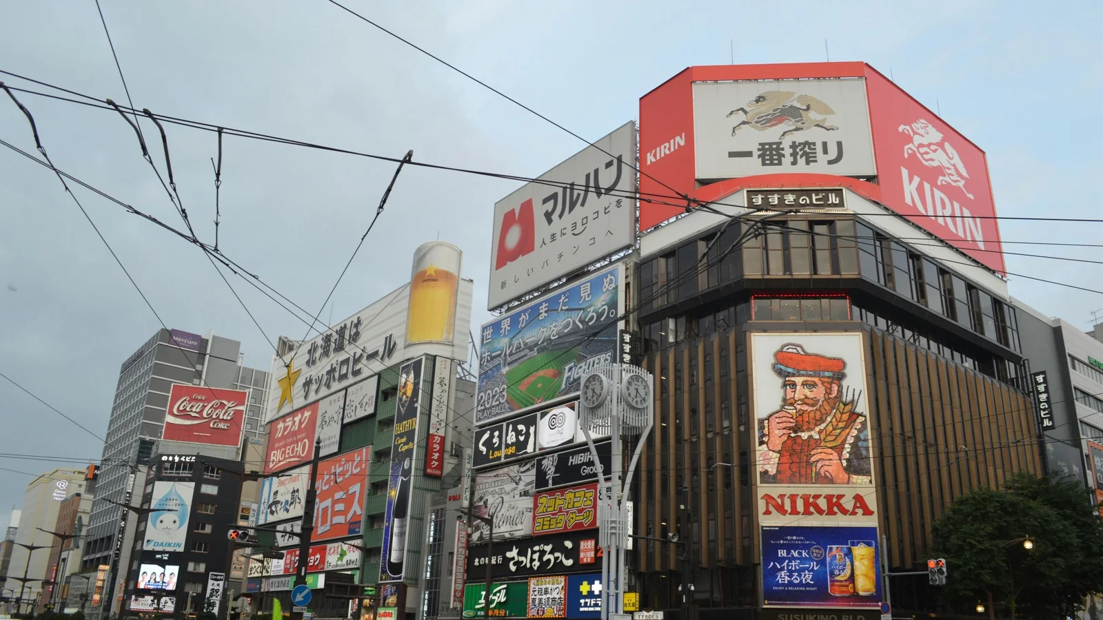 Odori Park winter illumination with Sapporo TV Tower visible through falling snow
