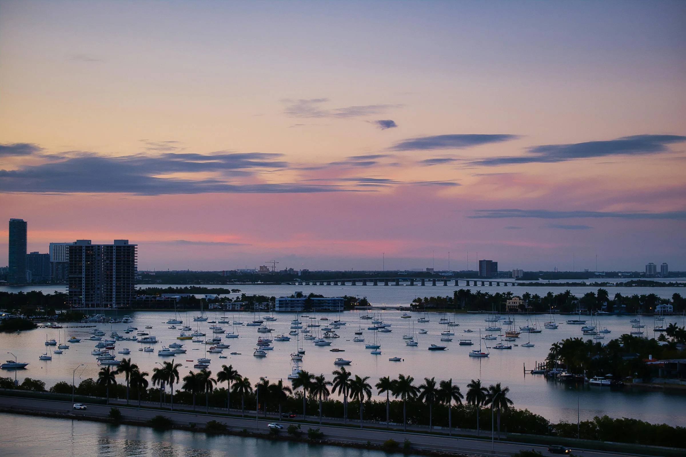 Sunset over Sarasota waterfront skyline with palm trees in Florida