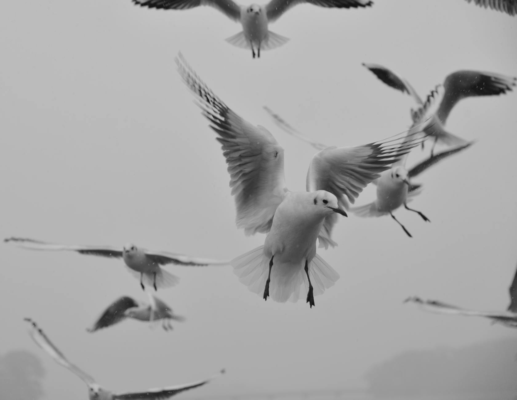 Matsushima Bay in Sendai