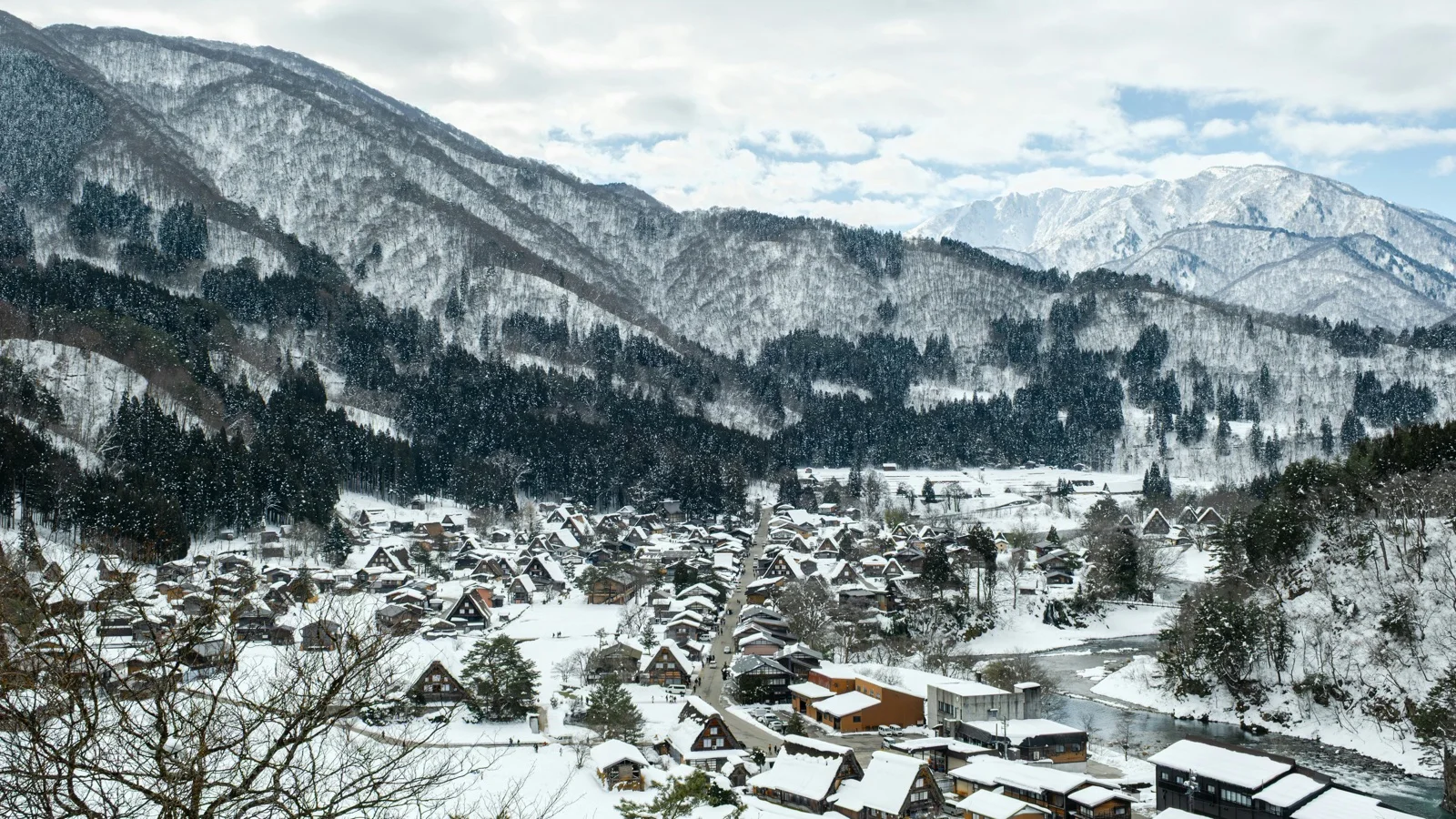 Gassho-zukuri thatched-roof farmhouses across Ogimachi village with the Japanese Alps rising behind