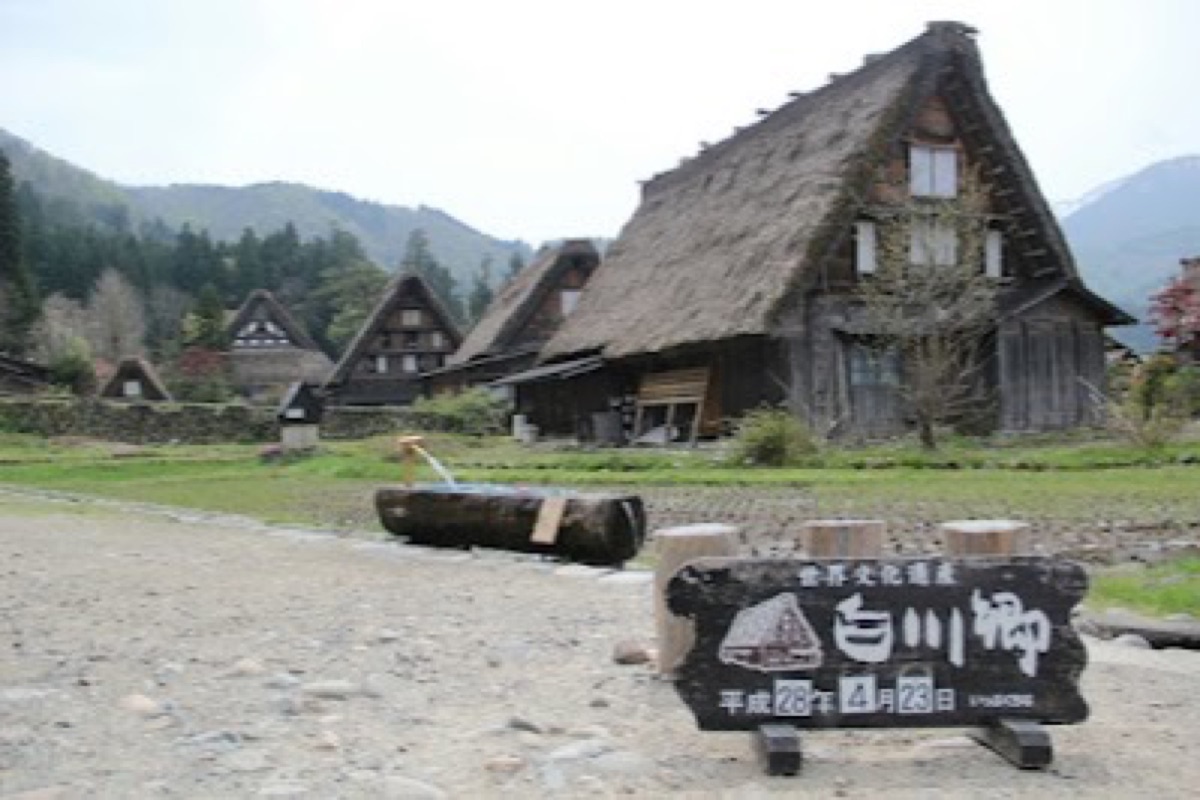 Gassho-zukuri thatched-roof farmhouses lining the lanes of Ogimachi Village in Shirakawa-go