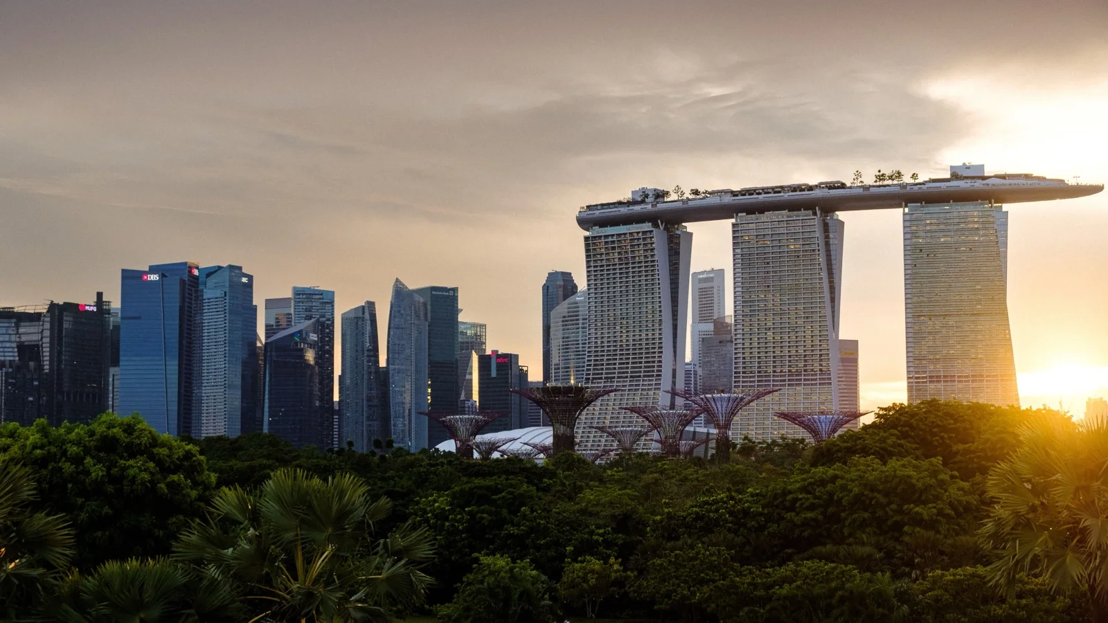 Supertree Grove vertical gardens lit up over Marina Bay at dusk