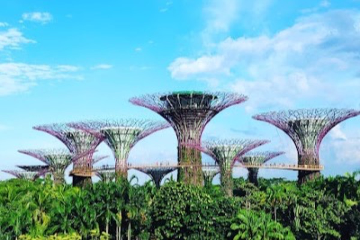 Supertrees and waterfront promenade at Gardens by the Bay along Marina Bay