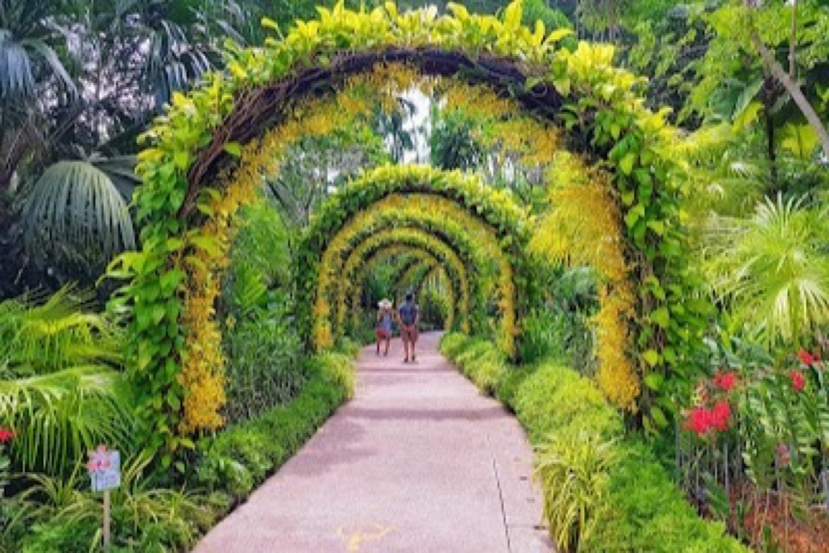 Shaded rainforest boardwalk loop at the Singapore Botanic Gardens in morning light